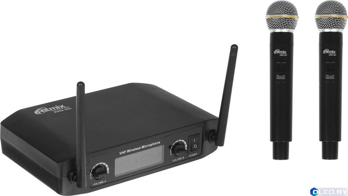 Микрофон Ritmix RWM-222