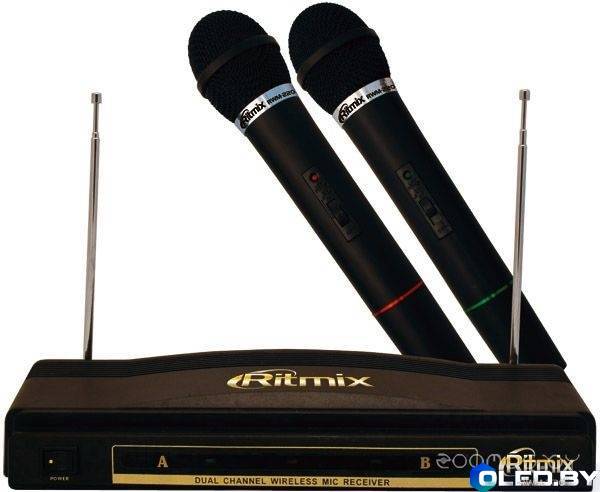 Микрофон Ritmix RWM-220
