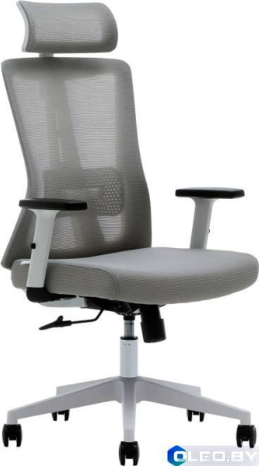 Кресло компьютерное EVOLUTION ErgoLine 3 (серый)