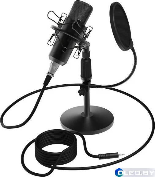 Микрофон студийный Ritmix RDM-175