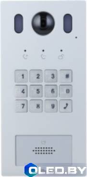 Вызывная панель Dahua DHI-VTO3222E-P