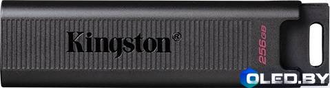 Флеш-накопитель Kingston DTMAX 256GB