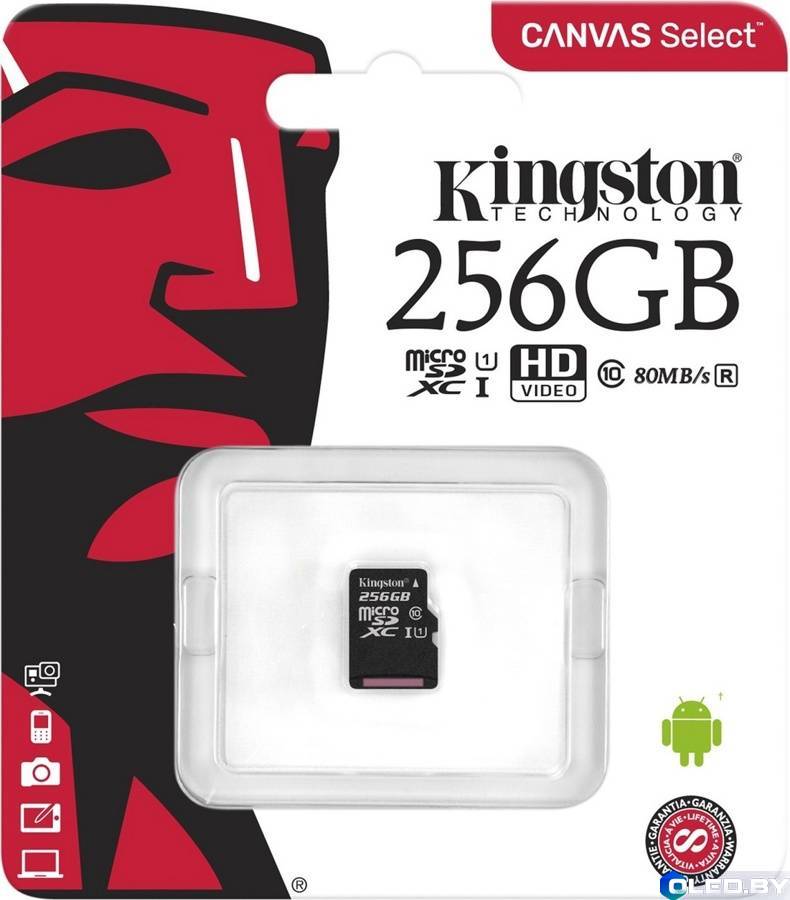 Карта памяти T-Flash (MicroSD) 256GB