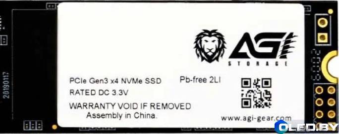 SSD диск AGI AI198 (256Gb)