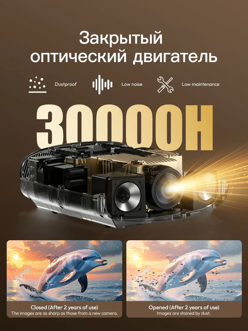 8079654160.jpg