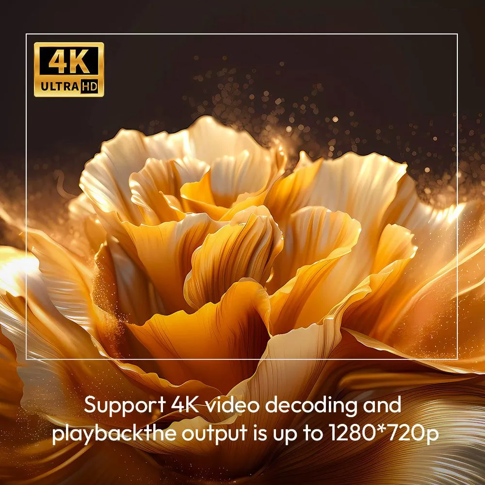 6996654150.jpg