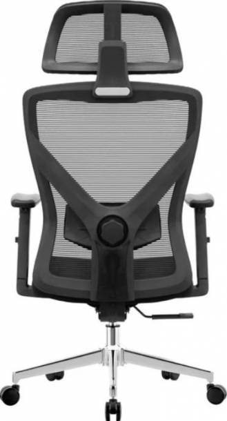 Кресло компьютерное EVOLUTION ErgoLine 2 (черный)