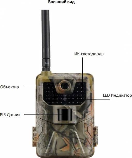 Фотоловушка Arsenal AR-900LTE