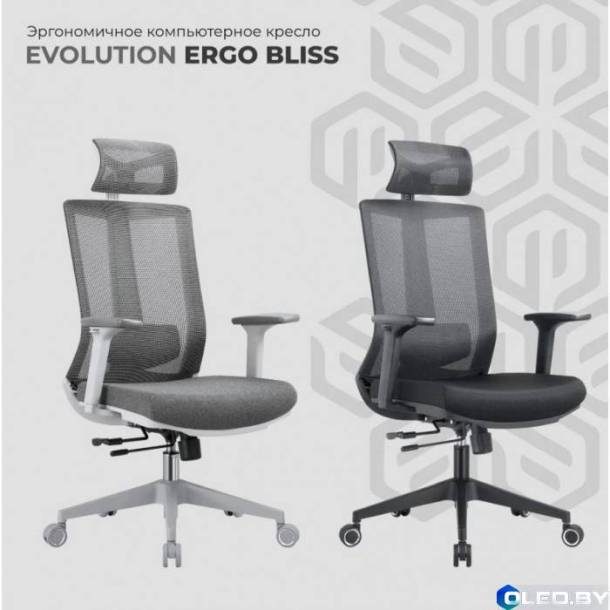 Кресло компьютерное EVOLUTION ERGO BLISS (черный)