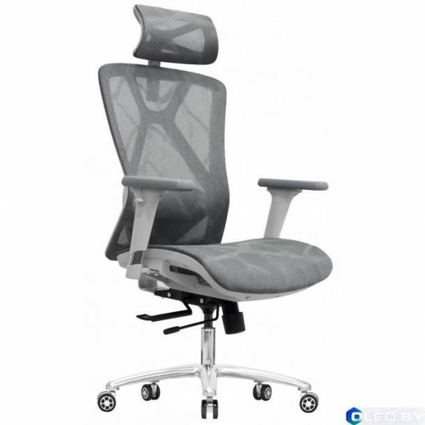 Кресло компьютерное EVOLUTION EXO F1 (серый)