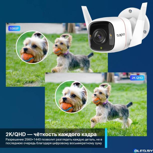 IP-камера TP-Link Tapo C320WS