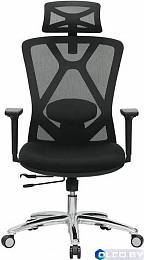 Кресло компьютерное EVOLUTION EXO F1 (черный) 