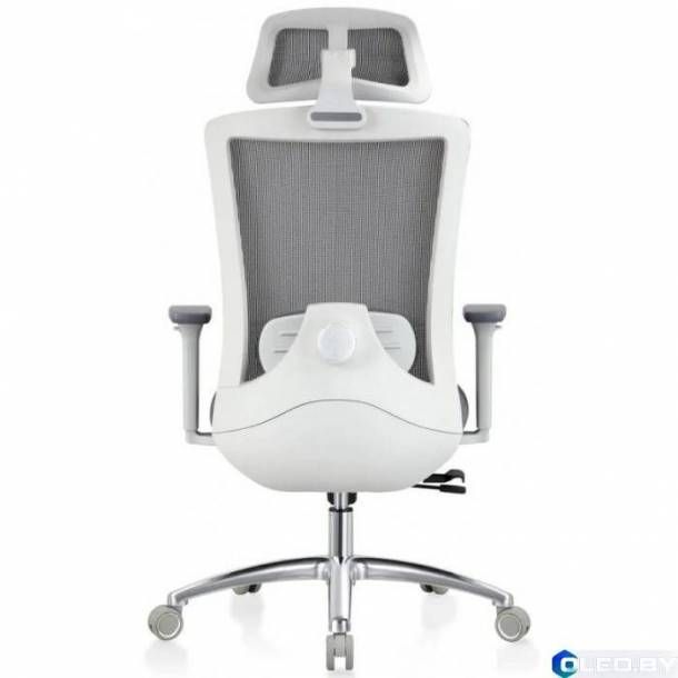 Кресло компьютерное EVOLUTION ERGO PRIME (серый)