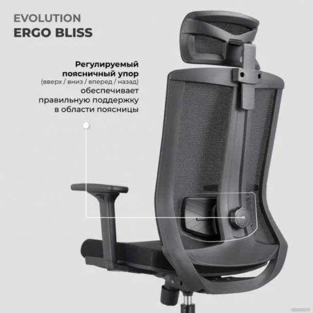 Кресло компьютерное EVOLUTION ERGO BLISS (черный)