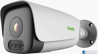 Видеокамера Tiandy TC-C32LS Spec:I10/E/Y/M/5-50mm/V4.2 