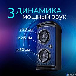 Колонка GINZZU GM-118 