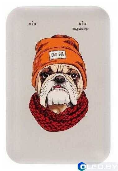 Внешний аккумулятор Ritmix RPB-10007 Buldog 10000мАч