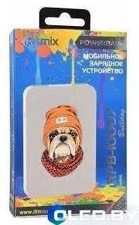 Внешний аккумулятор Ritmix RPB-10007 Buldog 10000мАч