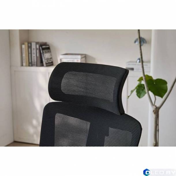 Кресло компьютерное EVOLUTION ErgoLine 3 (черный)