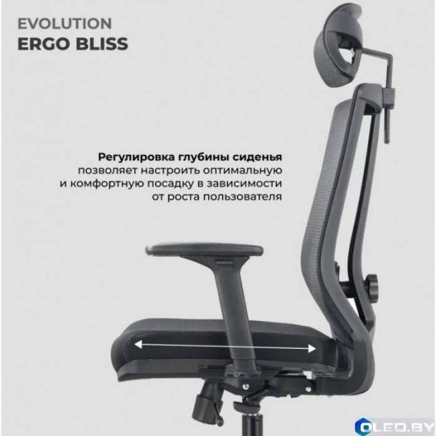 Кресло компьютерное EVOLUTION ERGO BLISS (черный)