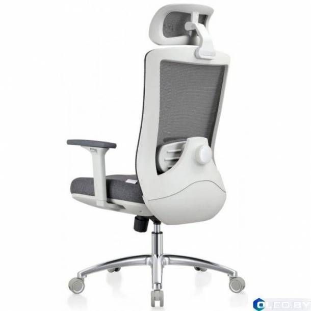 Кресло компьютерное EVOLUTION ERGO PRIME (серый)