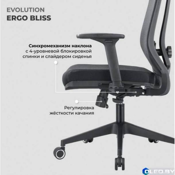 Кресло компьютерное EVOLUTION ERGO BLISS (черный)