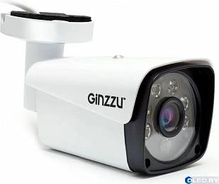 IP-камера Ginzzu HIB-2301S 