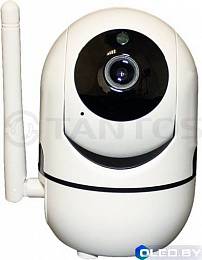 IP-видеокамера Tantos iРотор 