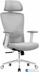 Кресло компьютерное EVOLUTION ErgoLine 2 (серый) 