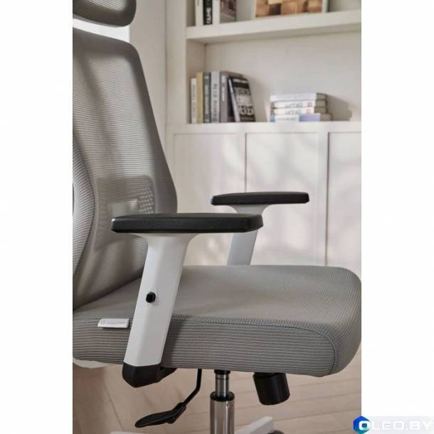 Кресло компьютерное EVOLUTION ErgoLine 3 (серый)