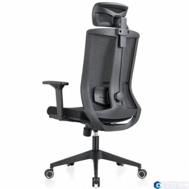 Кресло компьютерное EVOLUTION ERGO BLISS (черный)