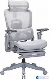 Кресло компьютерное EVOLUTION ZX 2 