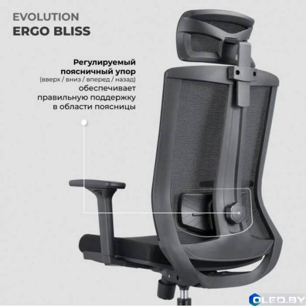 Кресло компьютерное EVOLUTION ERGO BLISS (черный)