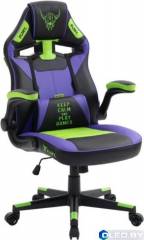 Кресло геймерcкое FLOKY Asgard (фиолетовый зеленый) 