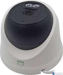 Видеокамера IP 2Mp Arsenal AR-C320N 