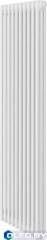 Радиатор Royal Thermo Insignia VC3180 - 10 секц. RAL9016 