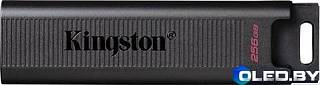 Флеш-накопитель Kingston DTMAX 512BG 