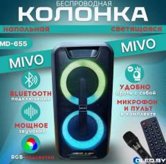 Напольная беспроводная колонка Mivo MD-655 с караоке 