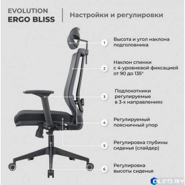 Кресло компьютерное EVOLUTION ERGO BLISS (черный)