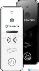 Вызывная панель Tantos iPanel 2 WG 