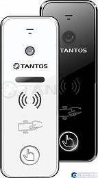 Вызывная панель Tantos iPanel 2 WG 