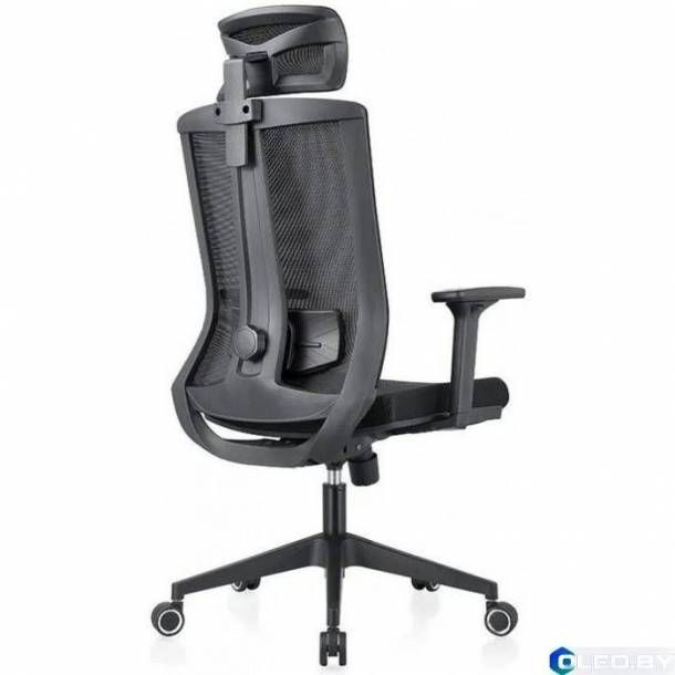 Кресло компьютерное EVOLUTION ERGO BLISS (черный)