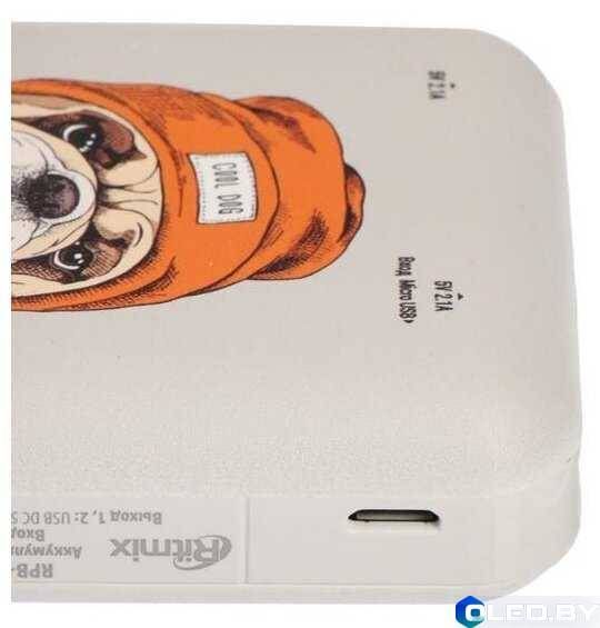 Внешний аккумулятор Ritmix RPB-10007 Buldog 10000мАч