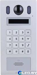 Вызывная панель Dahua DHI-VTO6222E-P 