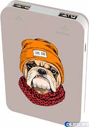 Внешний аккумулятор Ritmix RPB-10007 Buldog 10000мАч 