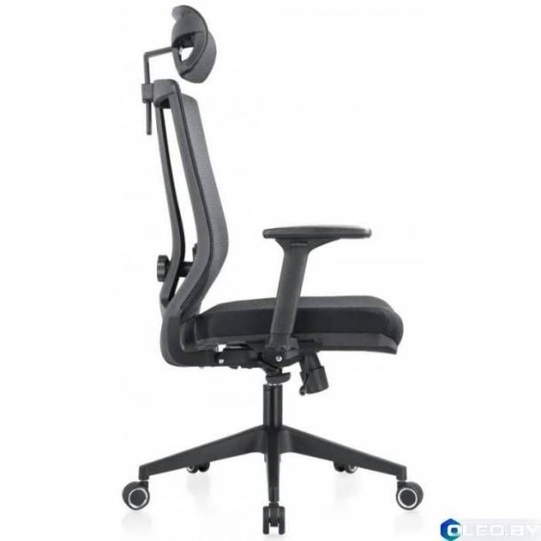 Кресло компьютерное EVOLUTION ERGO BLISS (черный)