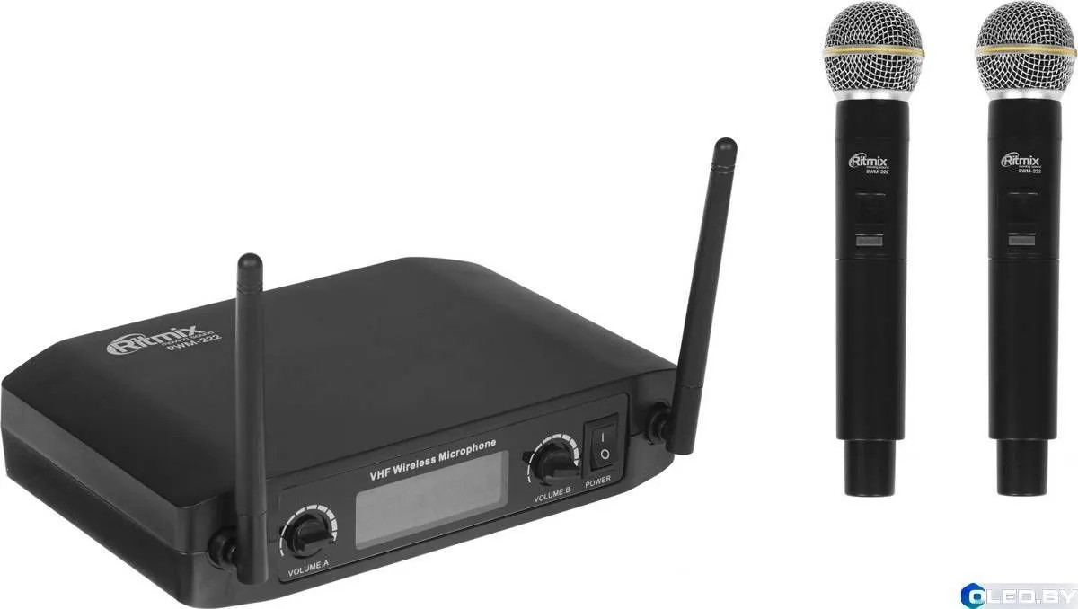 Микрофон Ritmix RWM-222