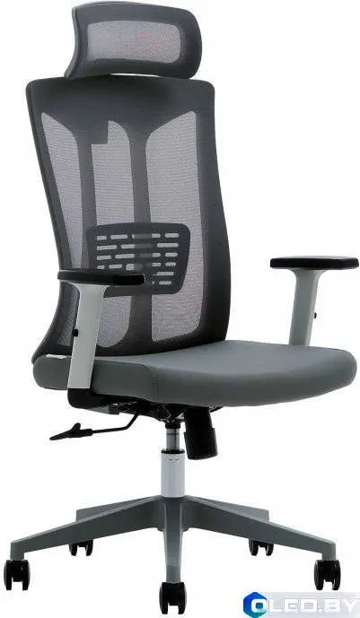 Кресло компьютерное EVOLUTION ErgoLine 4 (серый)