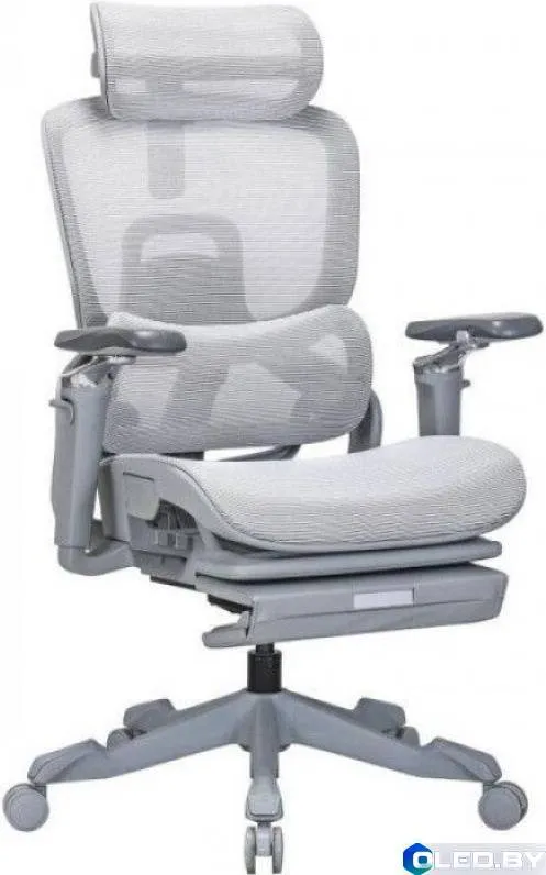 Кресло компьютерное EVOLUTION ZX 2