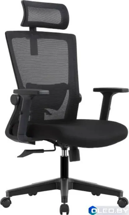 Кресло компьютерное EVOLUTION ErgoLine 1